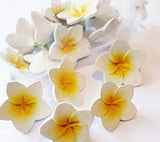 White/yellow Wooden Frangipanis